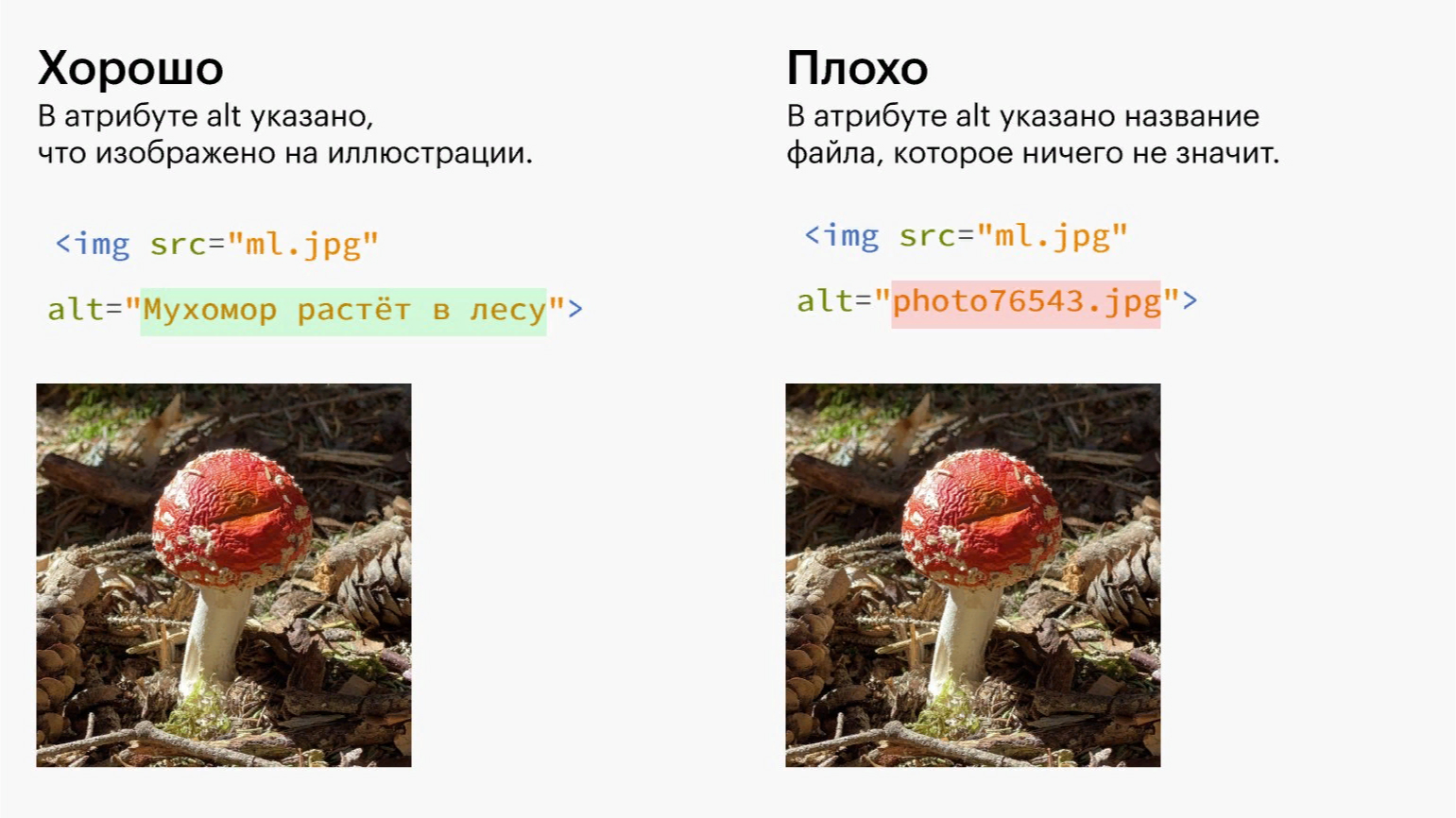 Примеры альтернативного описания изображений.jpg